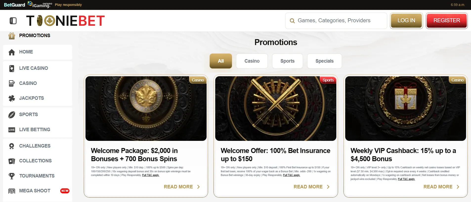 Bonus Terms to Check — online casino Canada for players Bonus Terms to Check — online casino Canada